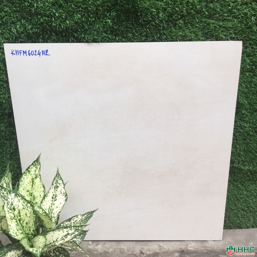GẠCH LÁT NỀN 60X60  6024